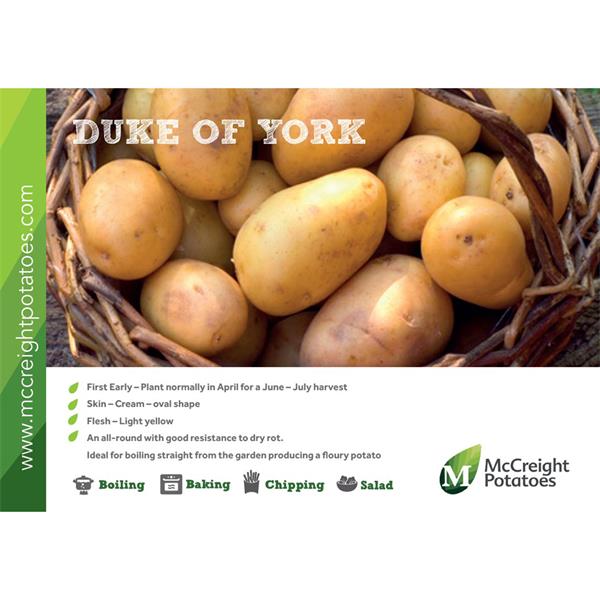 Duke of York seed Potatoes 2kg Duke of York seed Potatoes 2kg