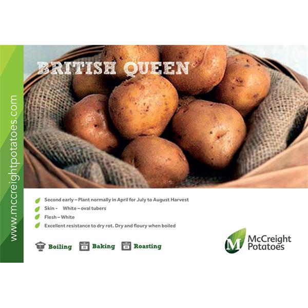 Potatoes - British Queen Second Earlies - 2Kg Potatoes - British Queen Second Earlies - 2Kg