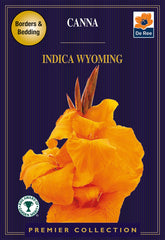 Canna Indica Wyoming
