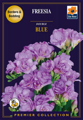 Freesia Double Blue