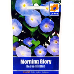 Morning Glory Heavenly Blue