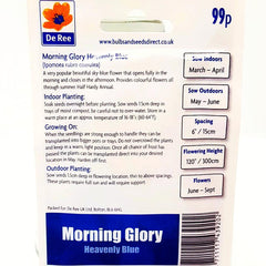 Morning Glory Heavenly Blue Morning Glory Heavenly Blue