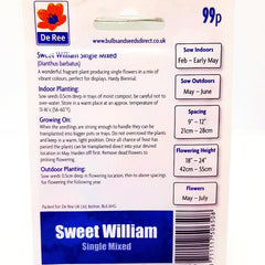 Sweet William Single Mixed Sweet William Single Mixed