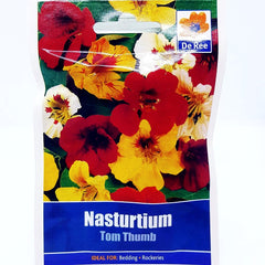 Nasturtium Tom Thumb