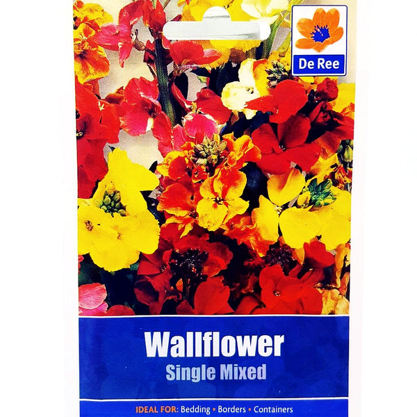 Wallflower Single Mixed Wallflower Single Mixed