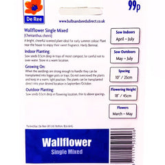 Wallflower Single Mixed Wallflower Single Mixed
