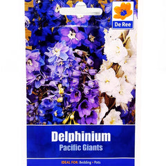 Delphinium Pacific Giants