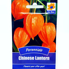 De Ree Chinese Lantern