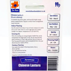 Chinese Lantern Chinese Lantern