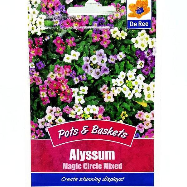 De Ree Alyssum Magic Circle Mixed De Ree Alyssum Magic Circle Mixed