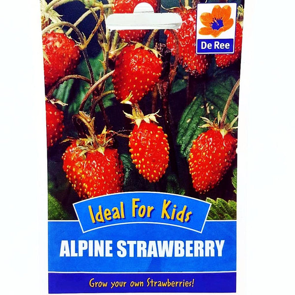 De Ree Alpine Strawberry De Ree Alpine Strawberry