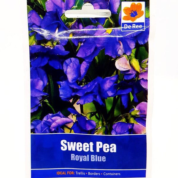 Sweet Pea Royal Blue Sweet Pea Royal Blue