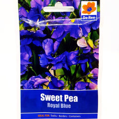 Sweet Pea Royal Blue