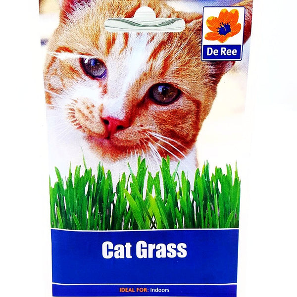 De Ree Cat Grass De Ree Cat Grass
