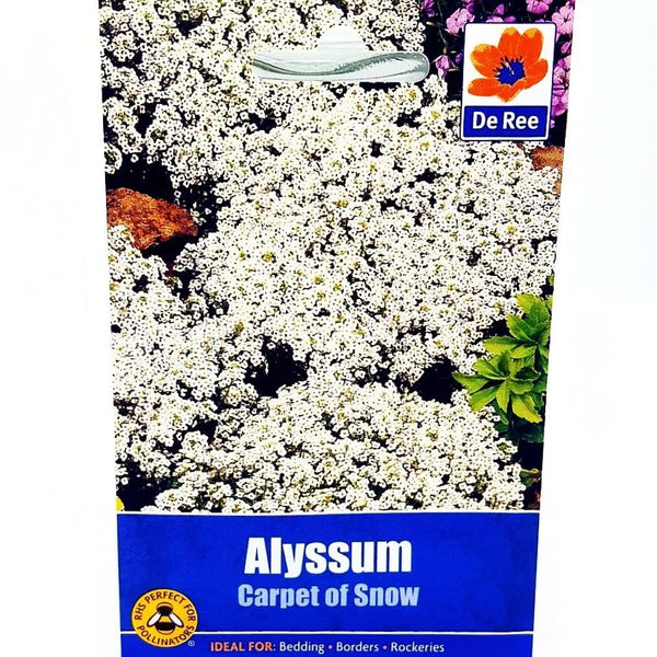 De Ree Alyssum Carpet of Snow De Ree Alyssum Carpet of Snow