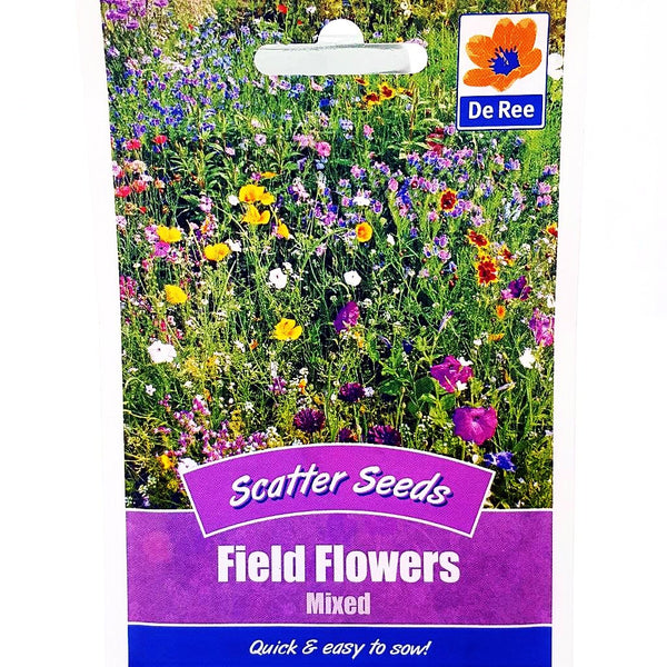 Field Flowers Field Flowers
