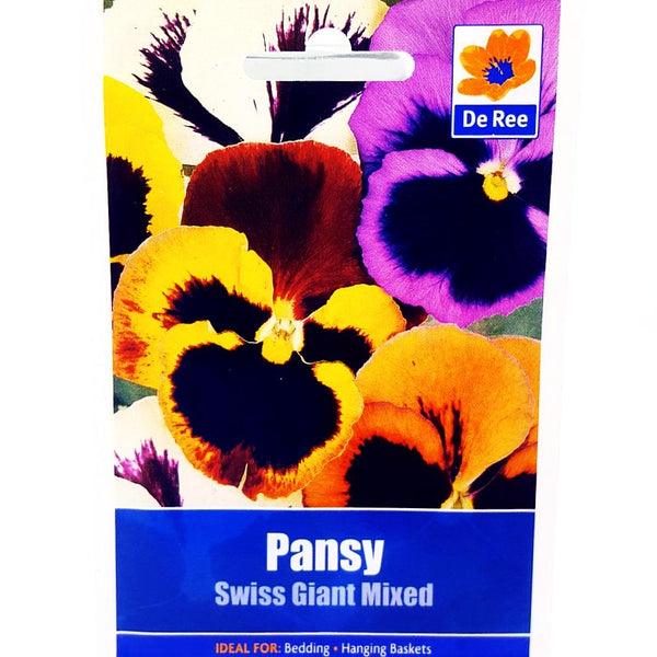 Pansy Swiss Giant Mixed Pansy Swiss Giant Mixed