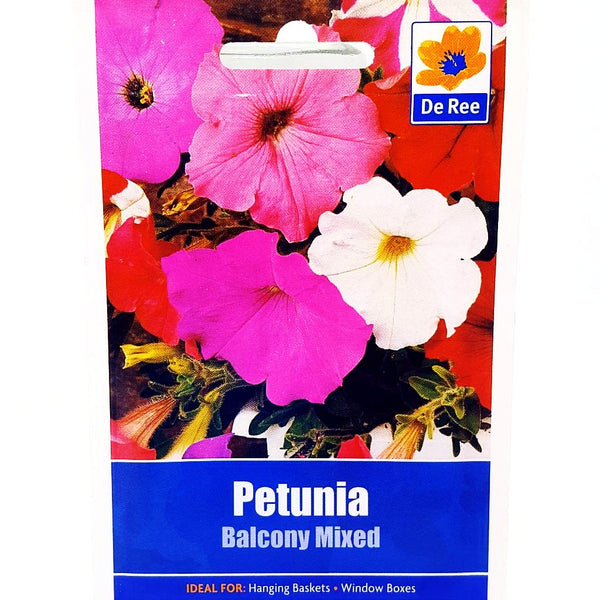 Petunia Balcony Petunia Balcony