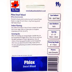Phlox Dwarf Phlox Dwarf