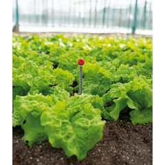 Soil Thermometer Soil Thermometer