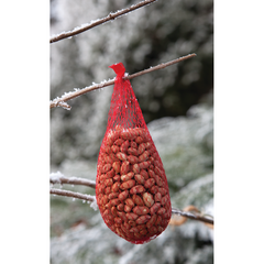 Peanuts in net 200 Grams Peanuts in net 200 Grams