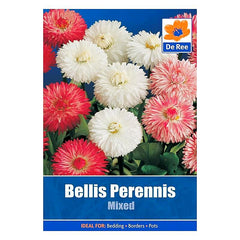 De Ree Bellis Perennis Mixed