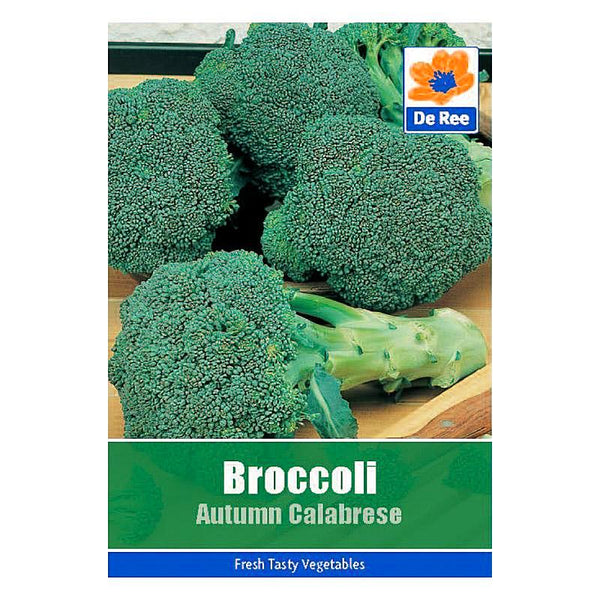 De Ree Broccoli Autumn Calabrese De Ree Broccoli Autumn Calabrese