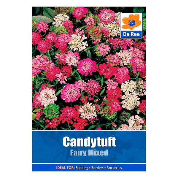 De Ree Candytuft Fairy Mixed De Ree Candytuft Fairy Mixed