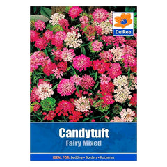 De Ree Candytuft Fairy Mixed