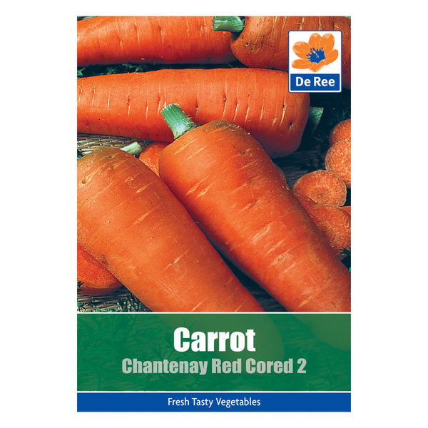 De Ree Carrot Chantenay Red Cored 2 De Ree Carrot Chantenay Red Cored 2