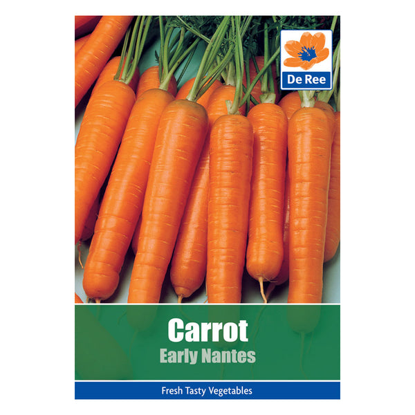 De Ree Carrot Early Nantes De Ree Carrot Early Nantes