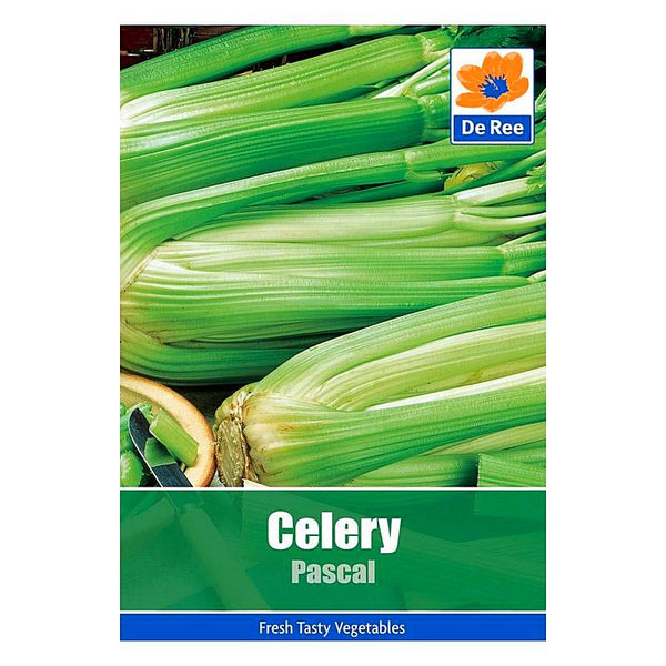 De Ree Celery Pascal De Ree Celery Pascal