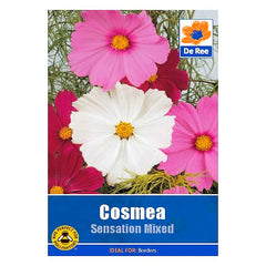 De Ree Cosmea Sensation Mixed