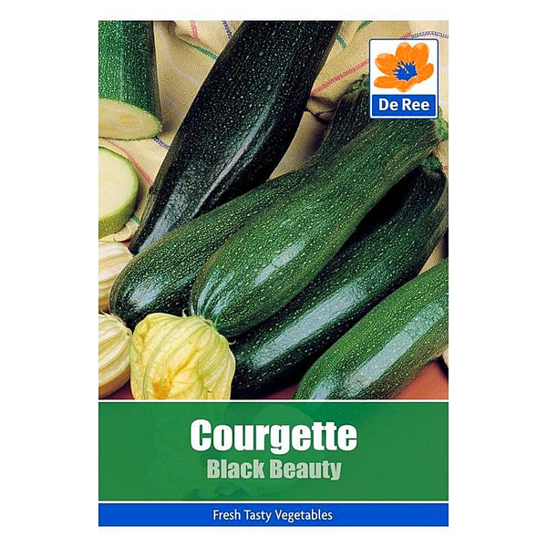 Courgette Black Beauty Courgette Black Beauty