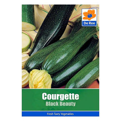 Courgette Black Beauty