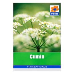 Cumin