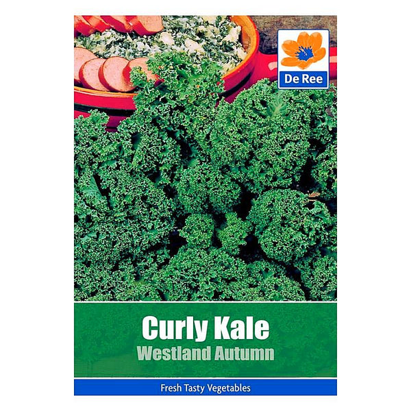 Curly Kale Westland Autumn Curly Kale Westland Autumn