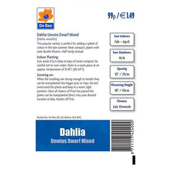 Dahlia Unwins Dwarf Mixed Dahlia Unwins Dwarf Mixed