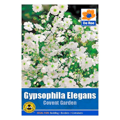 Gypsophila Elegans Covent Garden