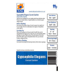 Gypsophila Elegans Covent Garden Gypsophila Elegans Covent Garden