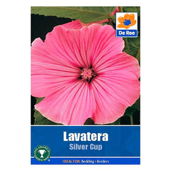 Lavatera Silver Cup