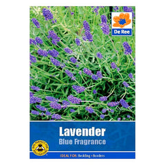 Lavender Blue Fragrance