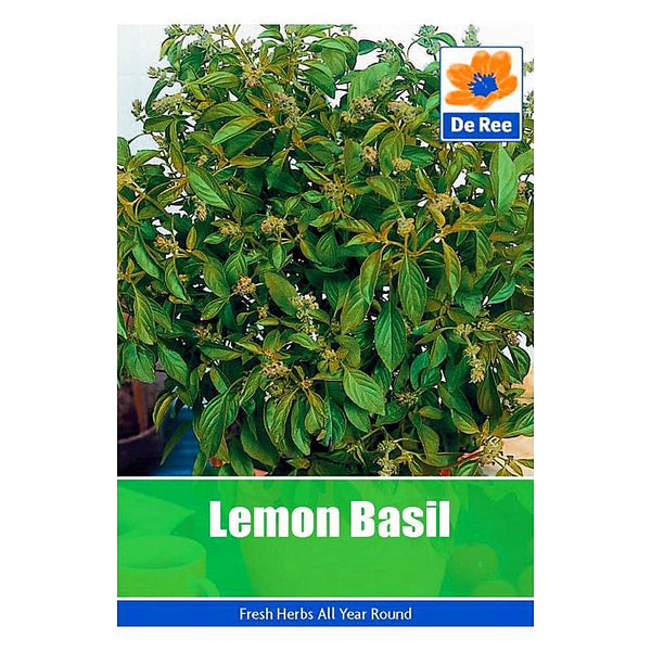 Lemon Basil Lemon Basil