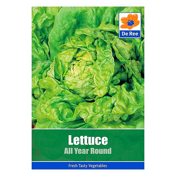 Lettuce All Year Round Lettuce All Year Round