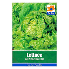 Lettuce All Year Round