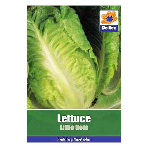 Lettuce Little Gem Lettuce Little Gem