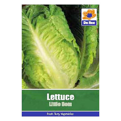 Lettuce Little Gem