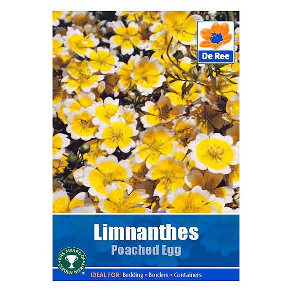 Limnanthes Poached Egg Limnanthes Poached Egg