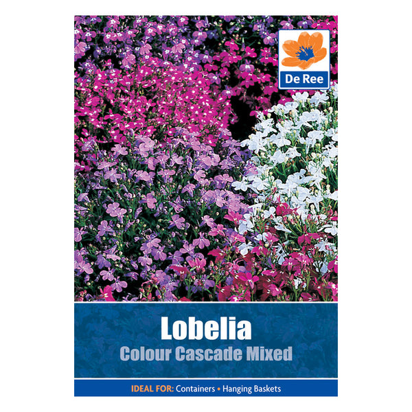 Lobelia Colour Cascade Mxed Lobelia Colour Cascade Mxed