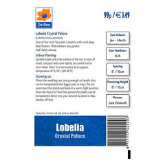 Lobelia Crystal Palace Lobelia Crystal Palace